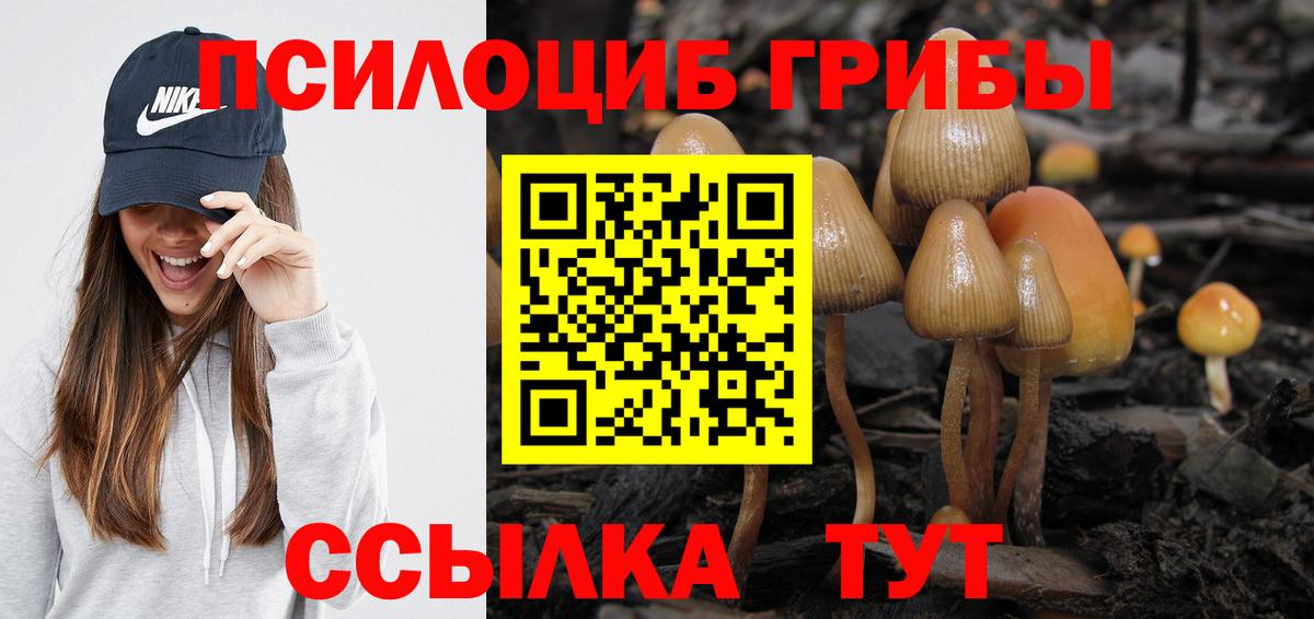Псилоцибиновые грибы ЛСД Видное