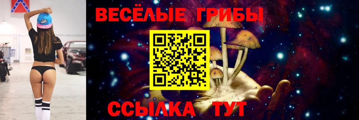 Псилоцибиновые грибы Magic Shrooms  Вход с VPN  где найти   Видное 